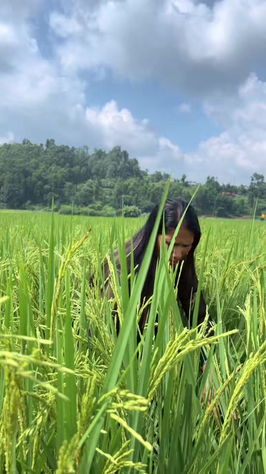 @sumitra bartaula