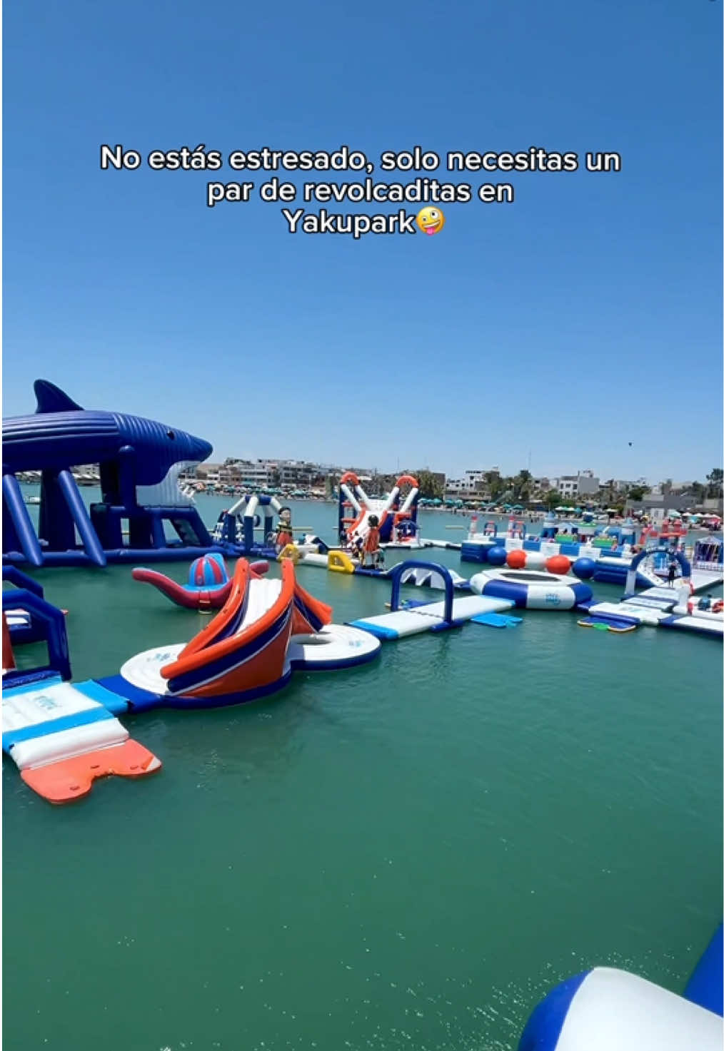 @Yakupark Paracas
