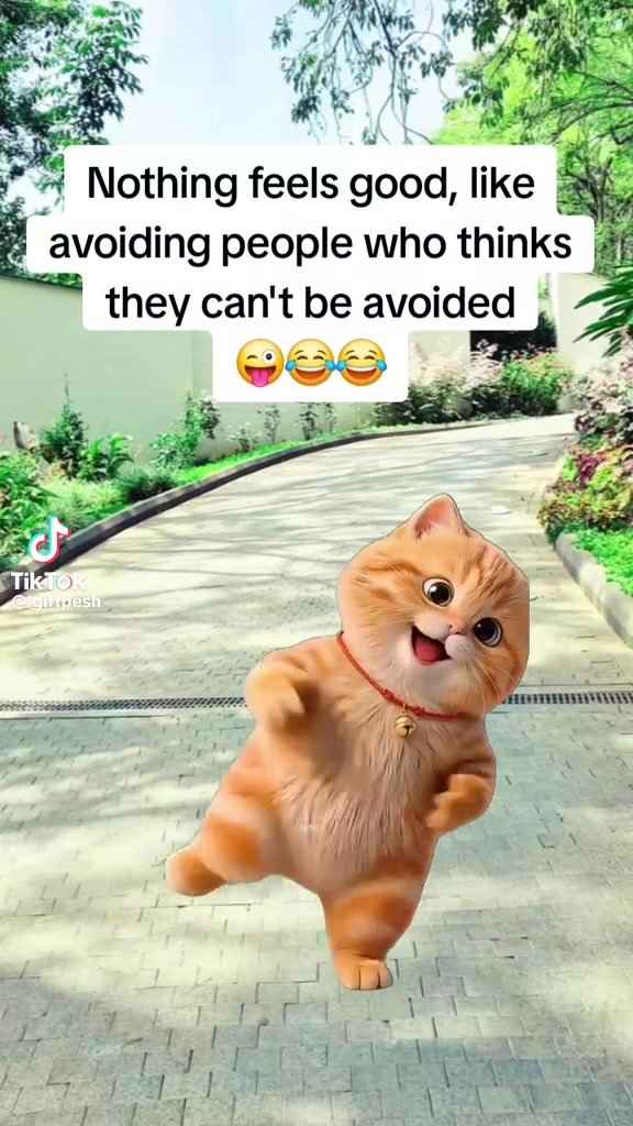 @tripletsmom1