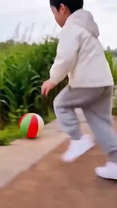 @GTA95 ZOO