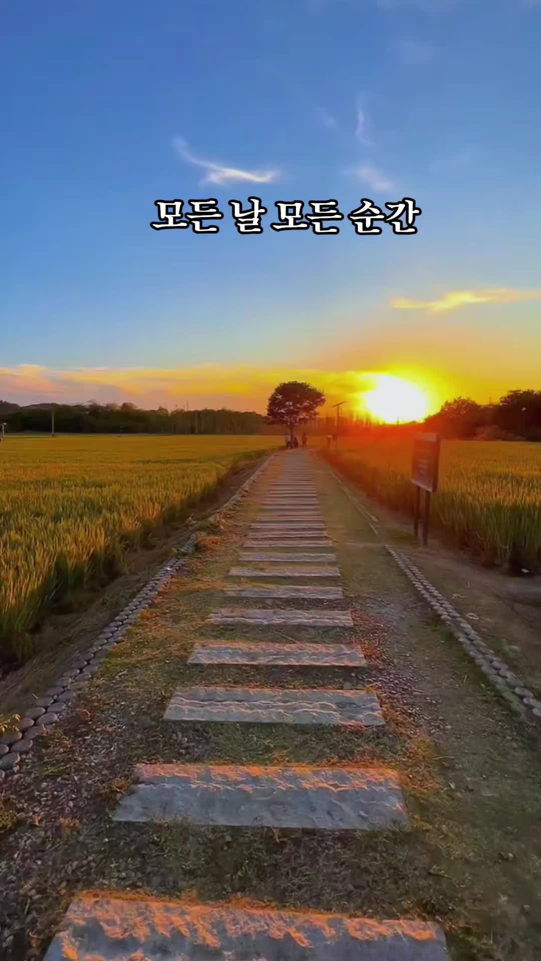 @유리꽃