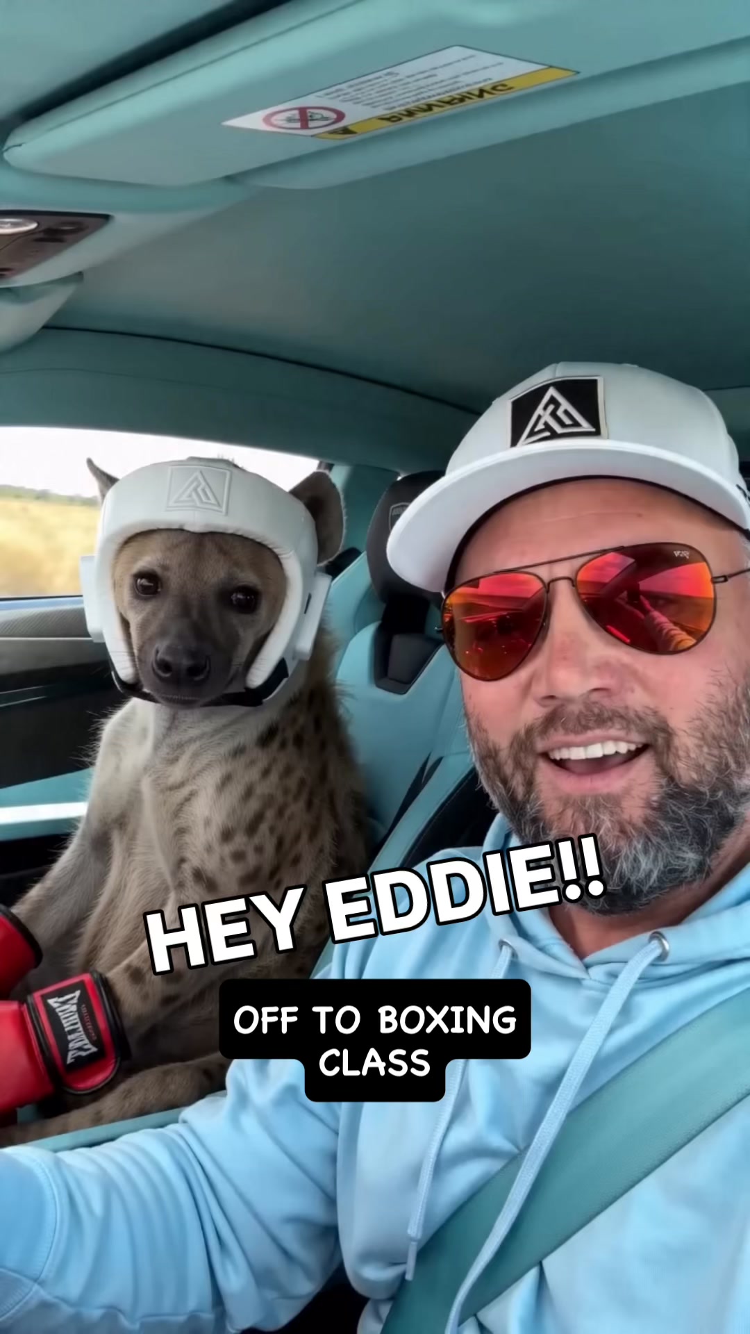 @EddieTheHyena