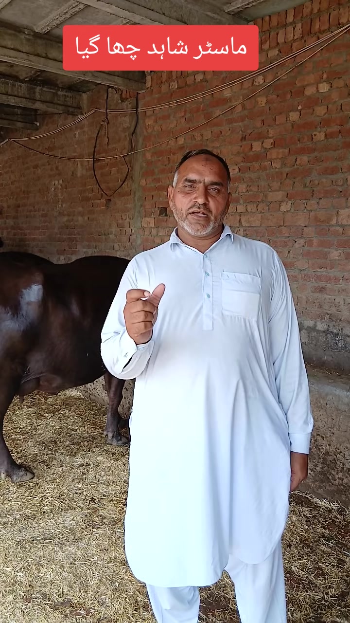 @Farming and Business Ideas