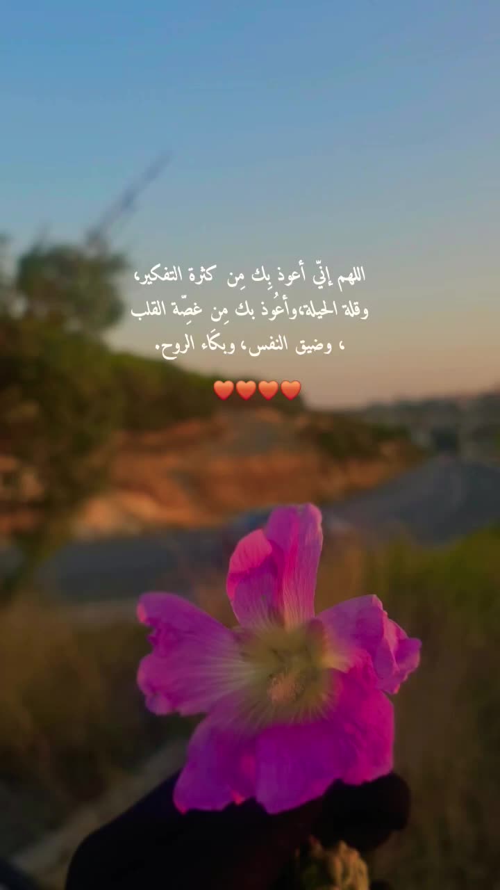 @𝐹𝒂𝒕𝒆𝒎𝒂🌸🤍؍ٌ𓍼﮼