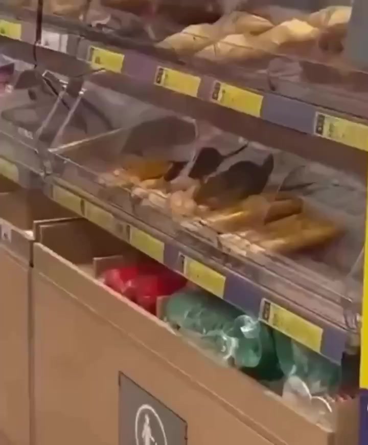 @рыжая бестия