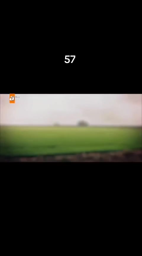 @🕊NORA🕊