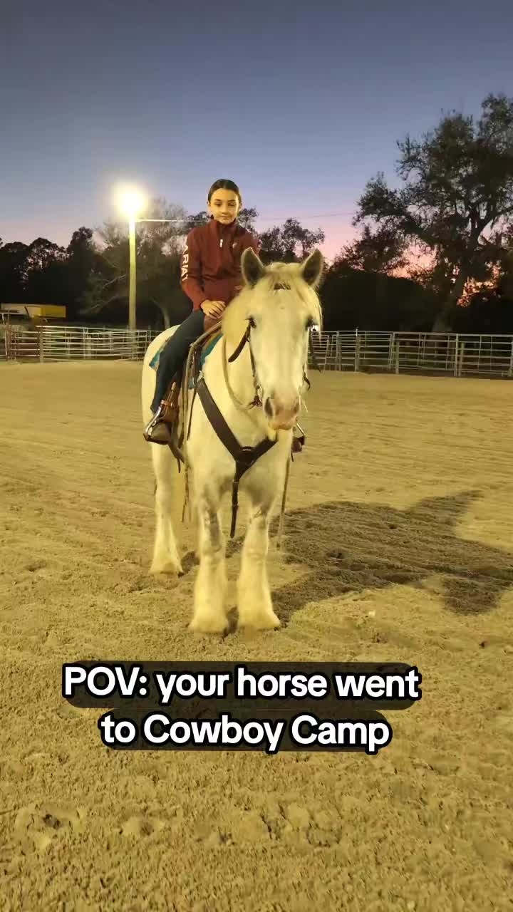 @Duyn Equine Horse Training