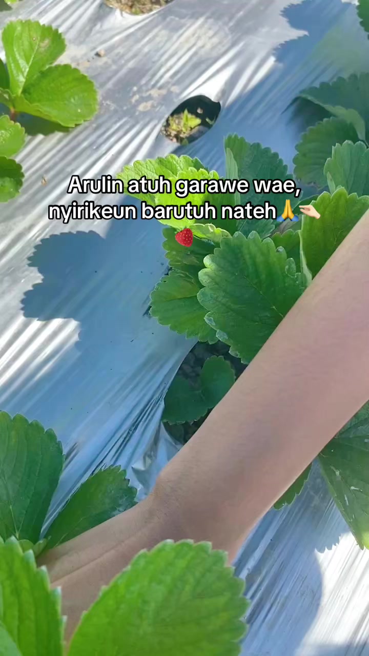 @Dindaaaa💦