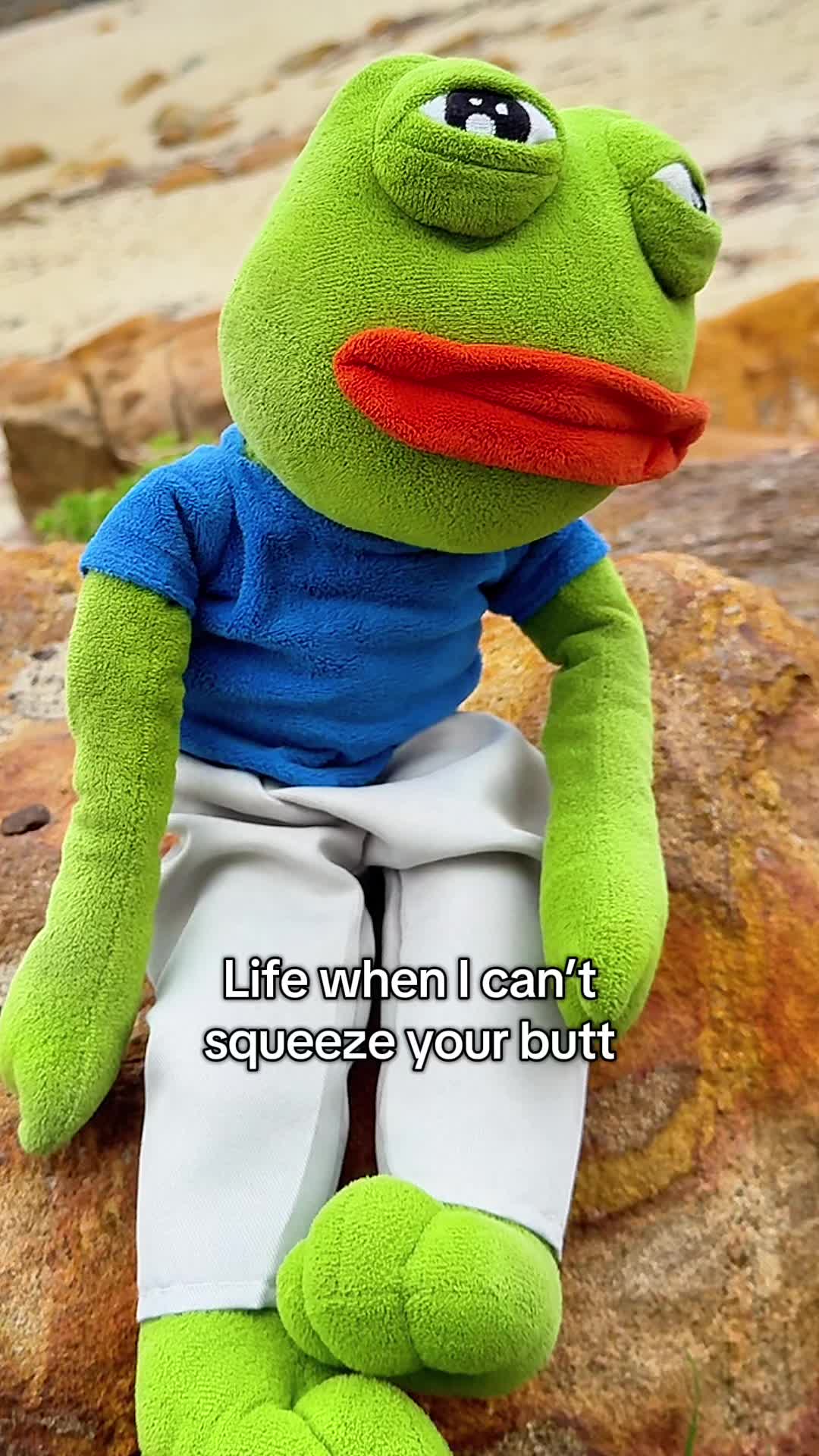 @AdoptAPepe