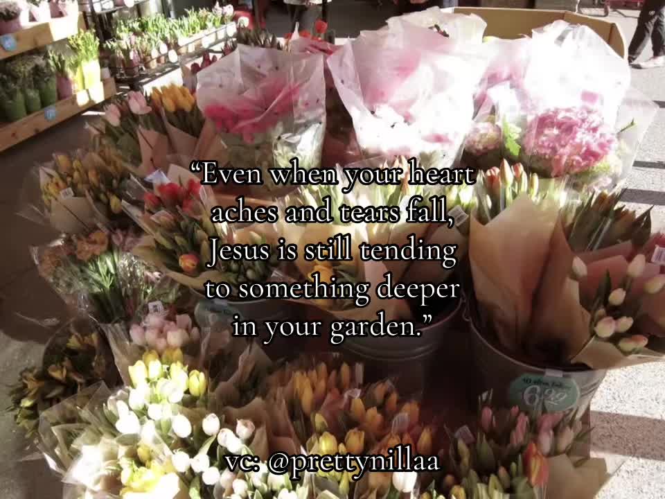@𝚜𝚊𝚖𝚊𝚗𝚝𝚑𝚊 ❀