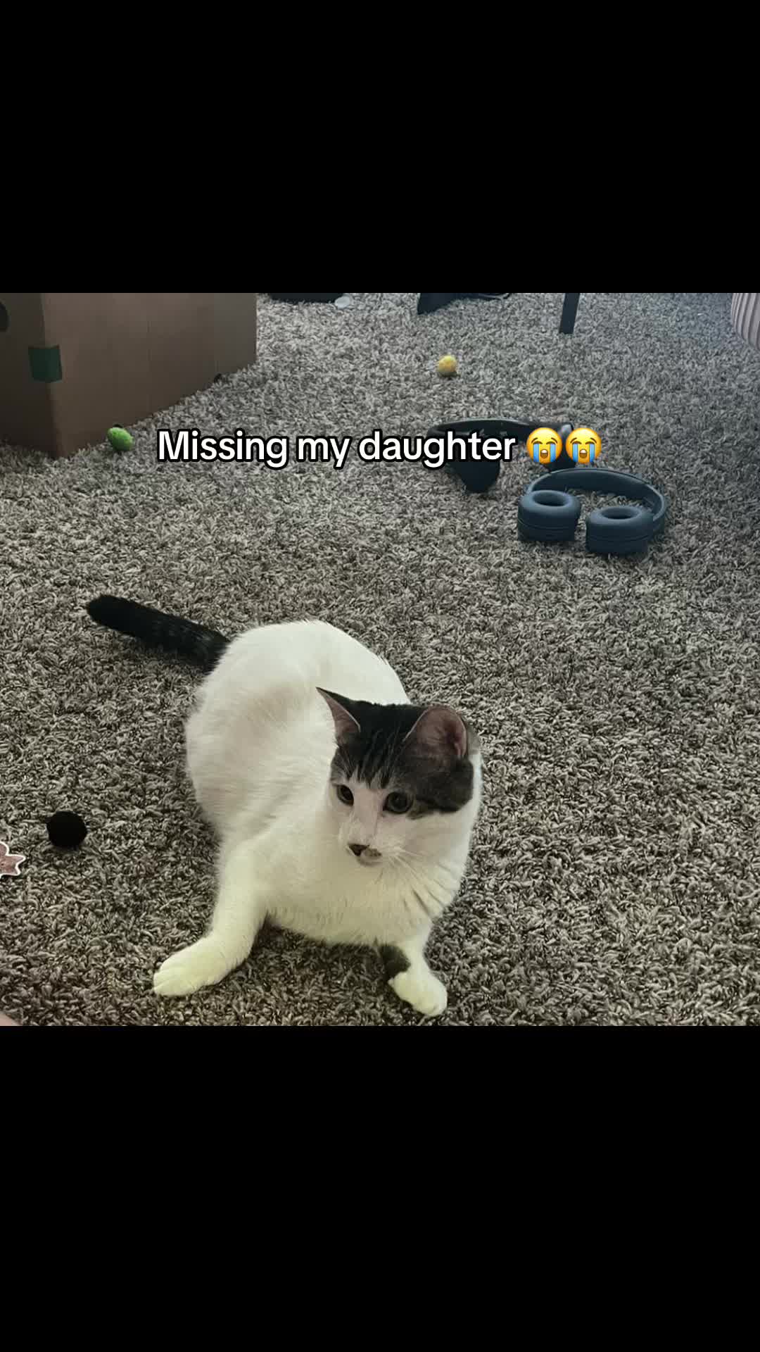 @an_incognitoweirdo