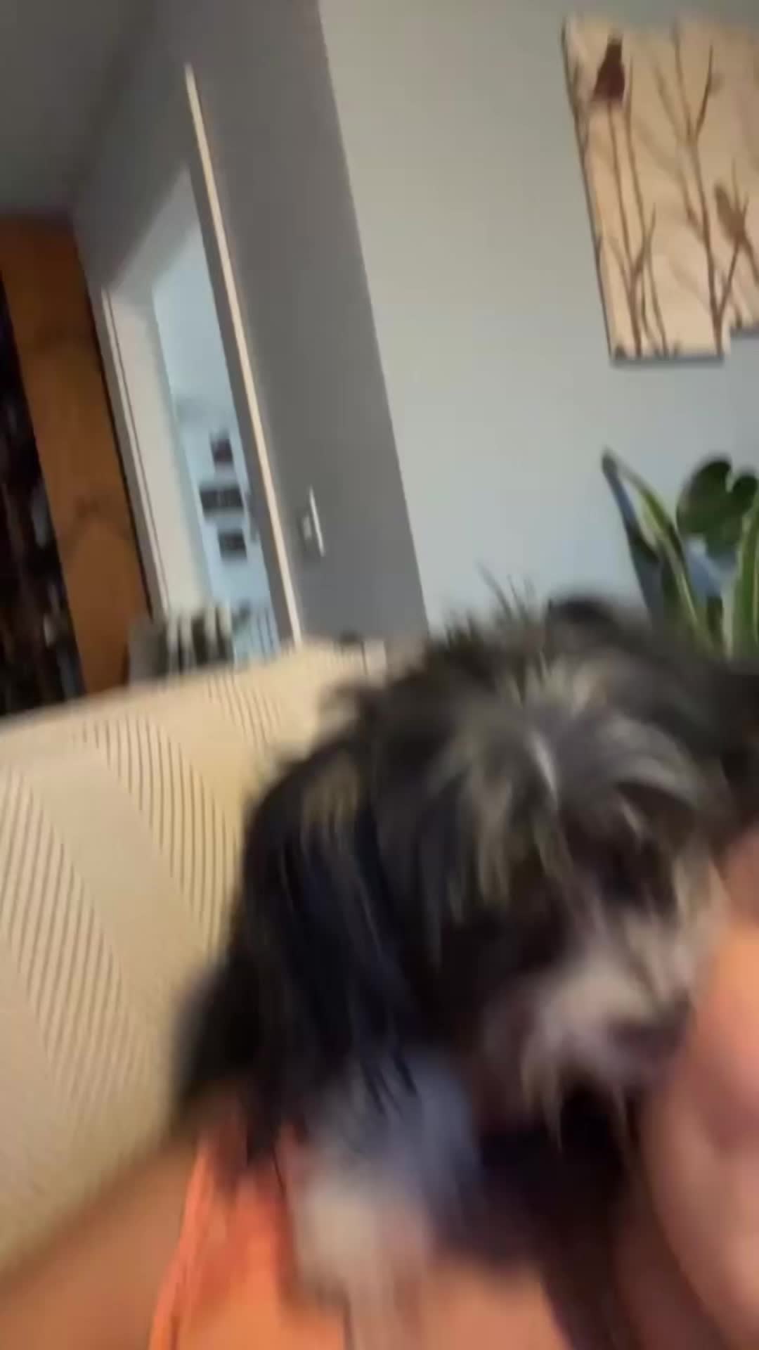 @Genesis Perez