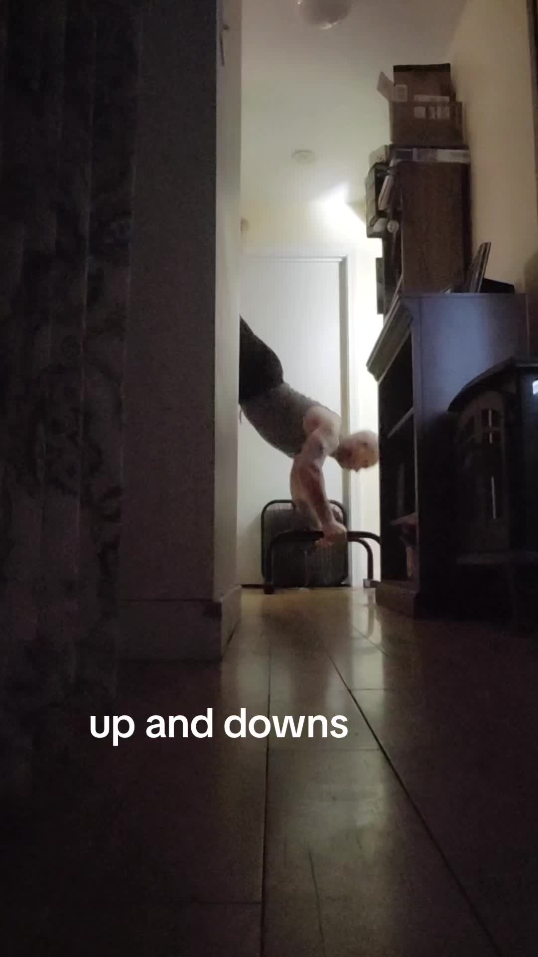 @alexanderofthewoods