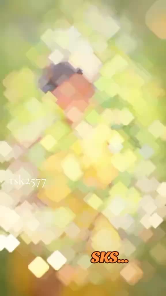 @๐น๐SK๓พซ๐๐น