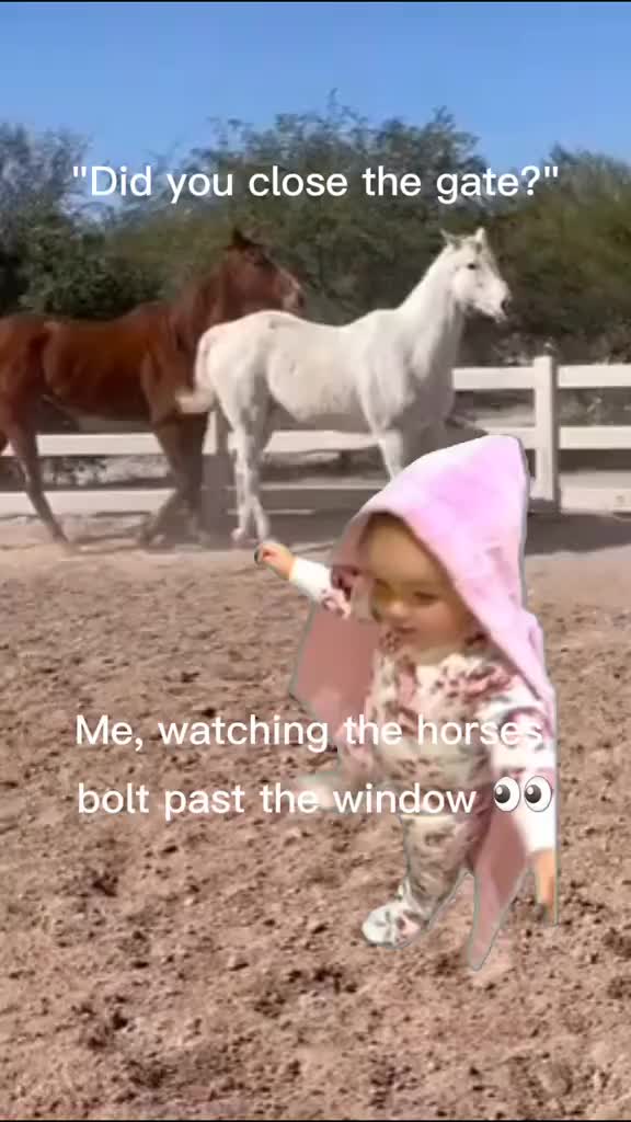 @Mgck