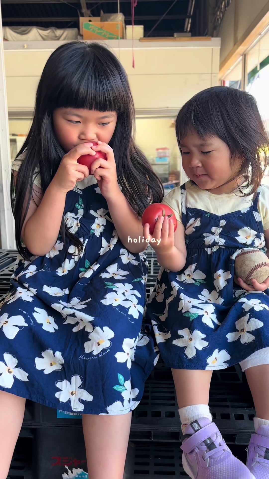 @kotokafuruyama