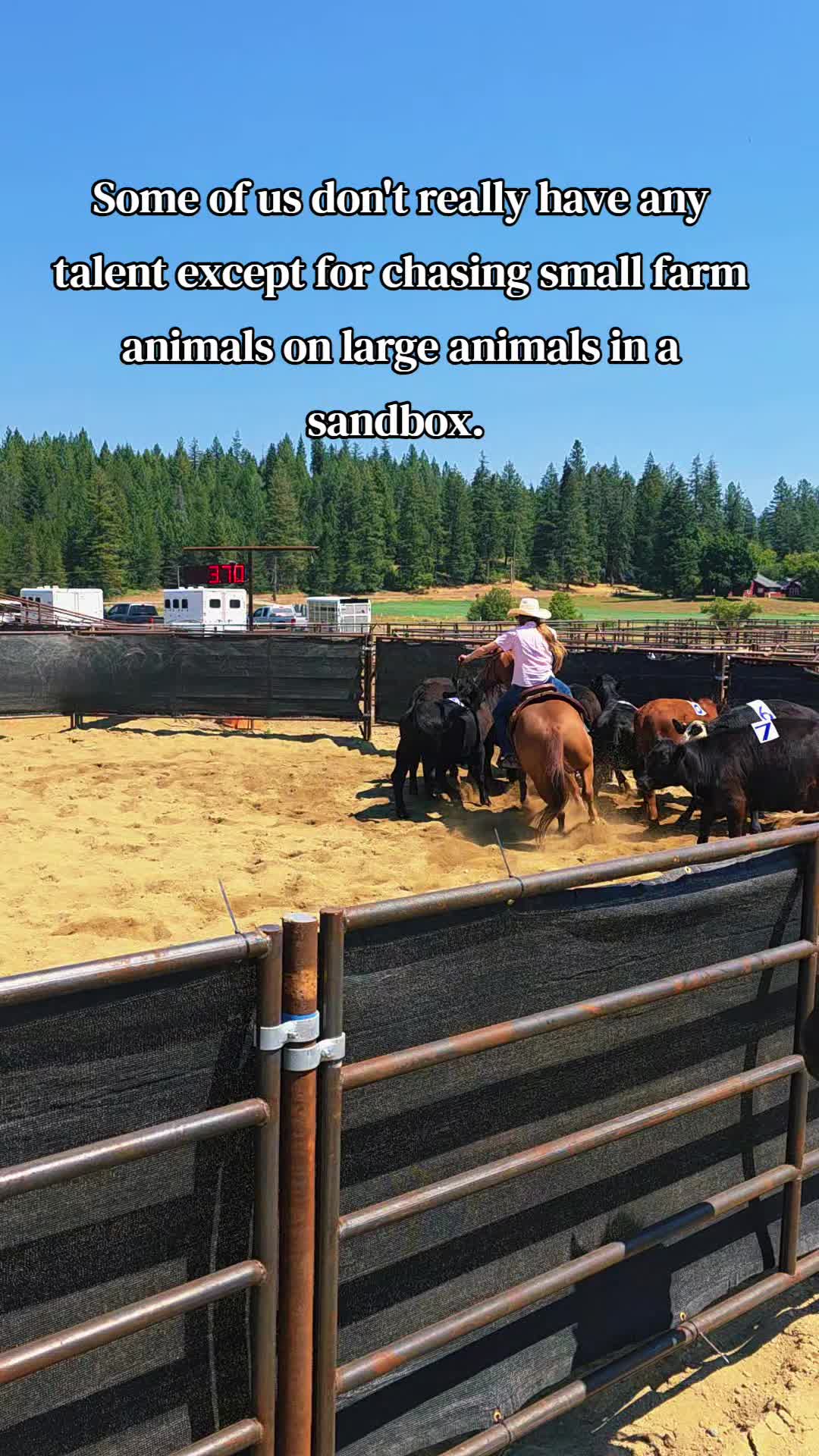 @🐴 ColdMountainRanch 🏇