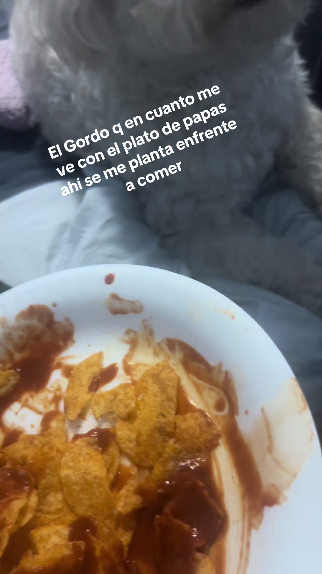 @Mipedacitodecielo801