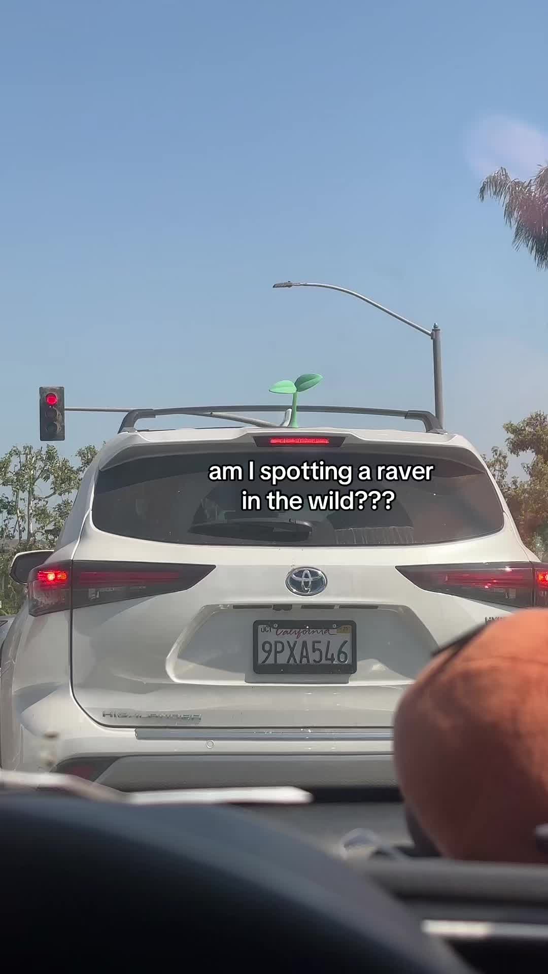 @mila ✨🌱☮️ | raving + fitness
