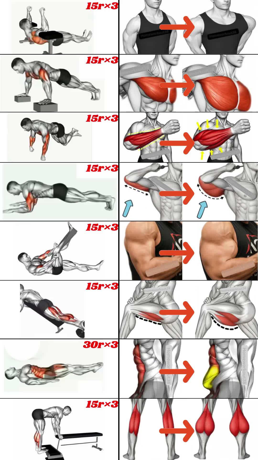 @HOMEWORKOUT