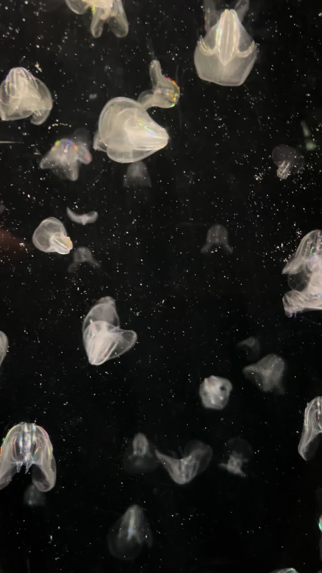 @nature is beautiful