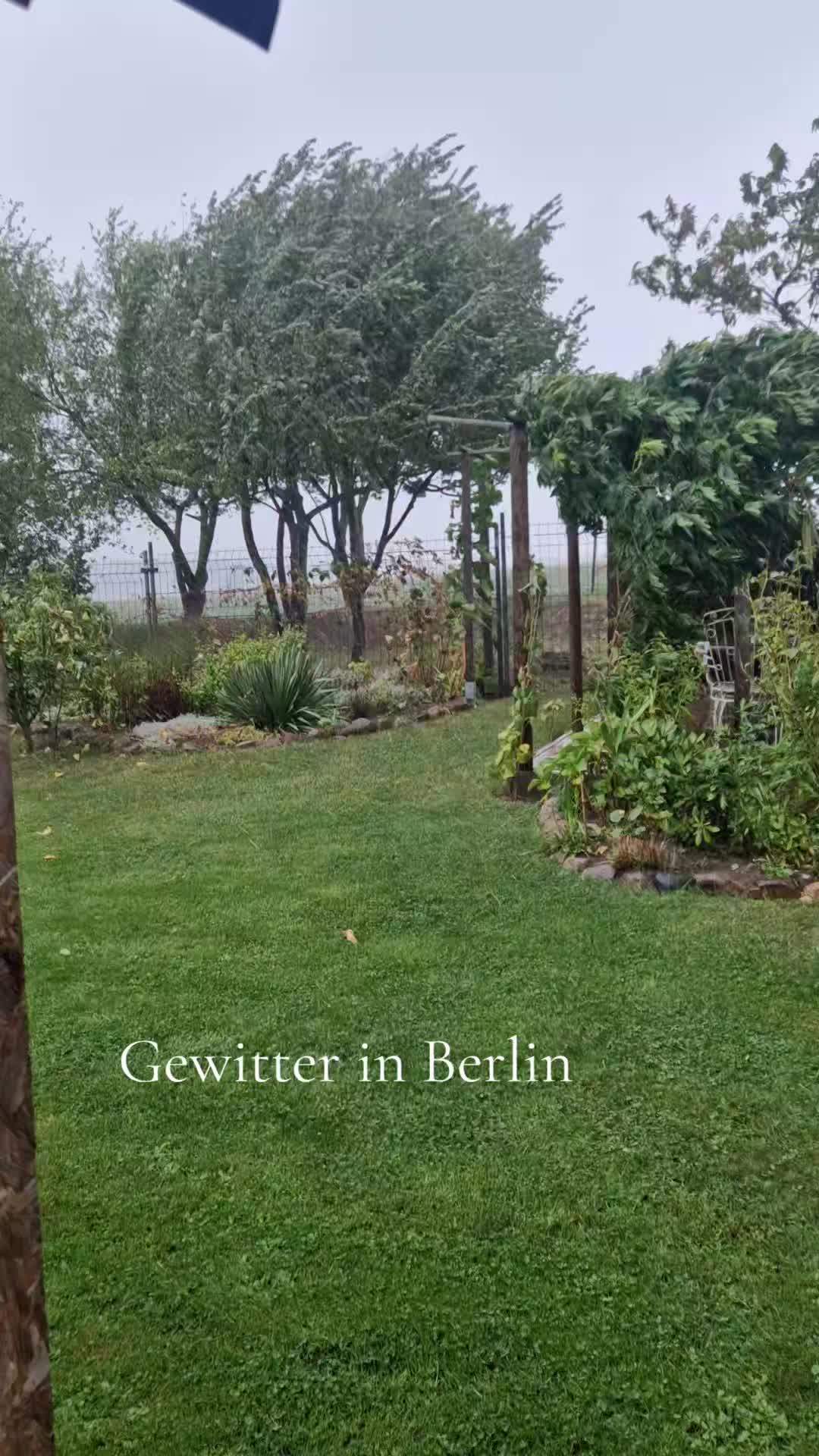 @Nunzio Berlino