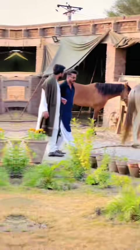 @HaiDer Ali Khan  Sial Official