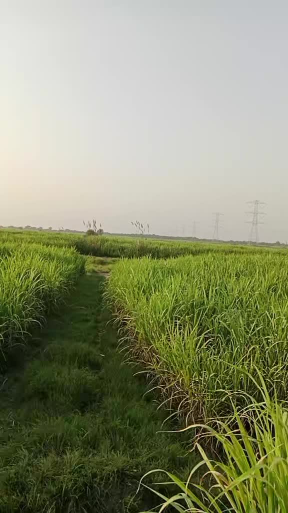 @Veershi