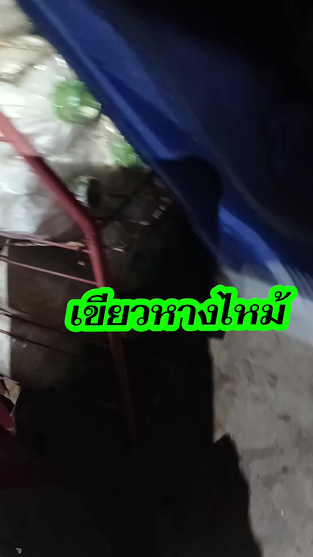 @หมอคิม6514