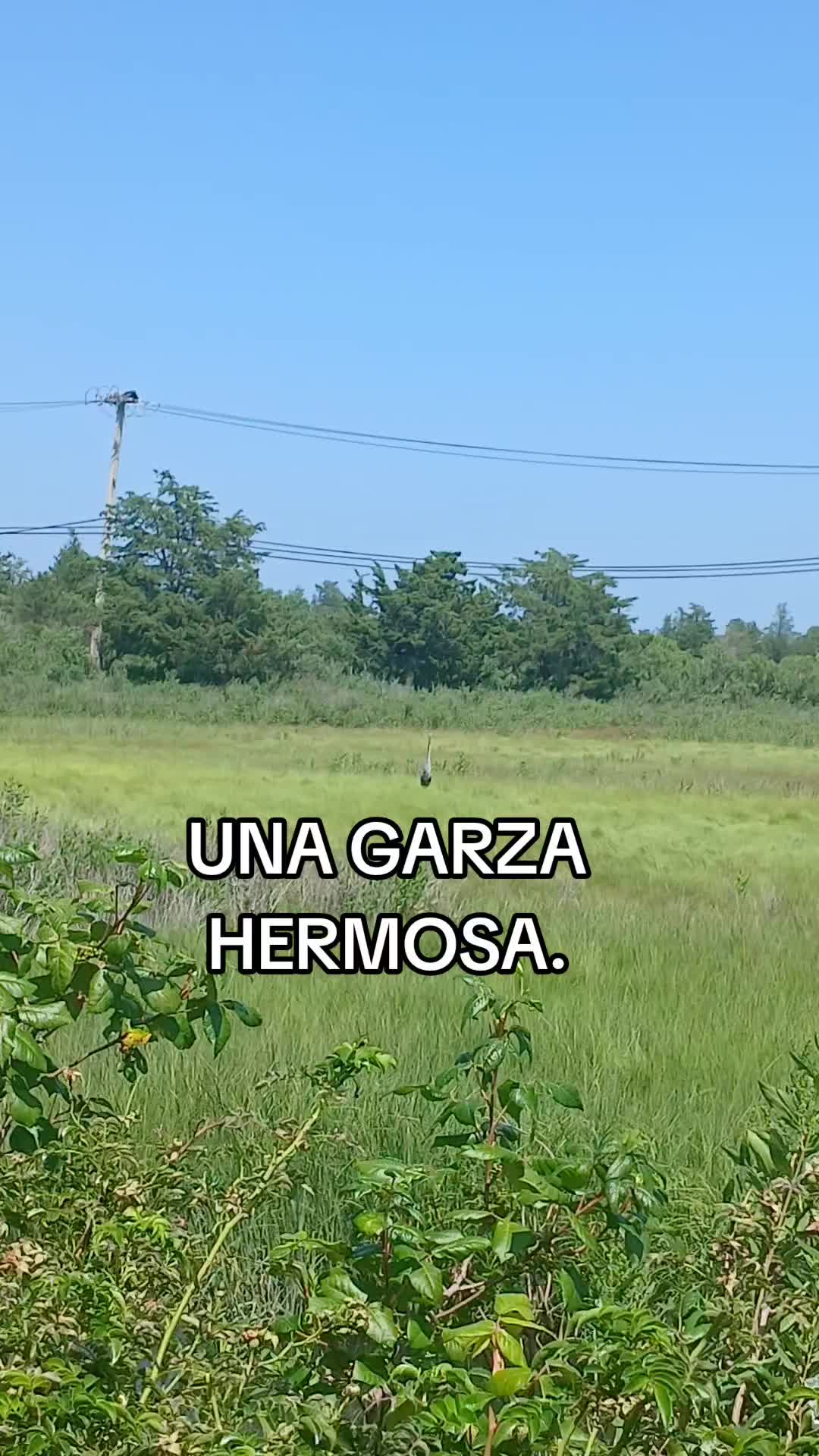 @sarahi