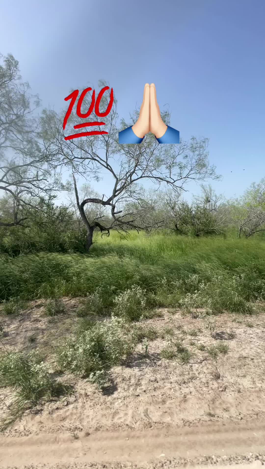 @🇮🇹GREG🇺🇸