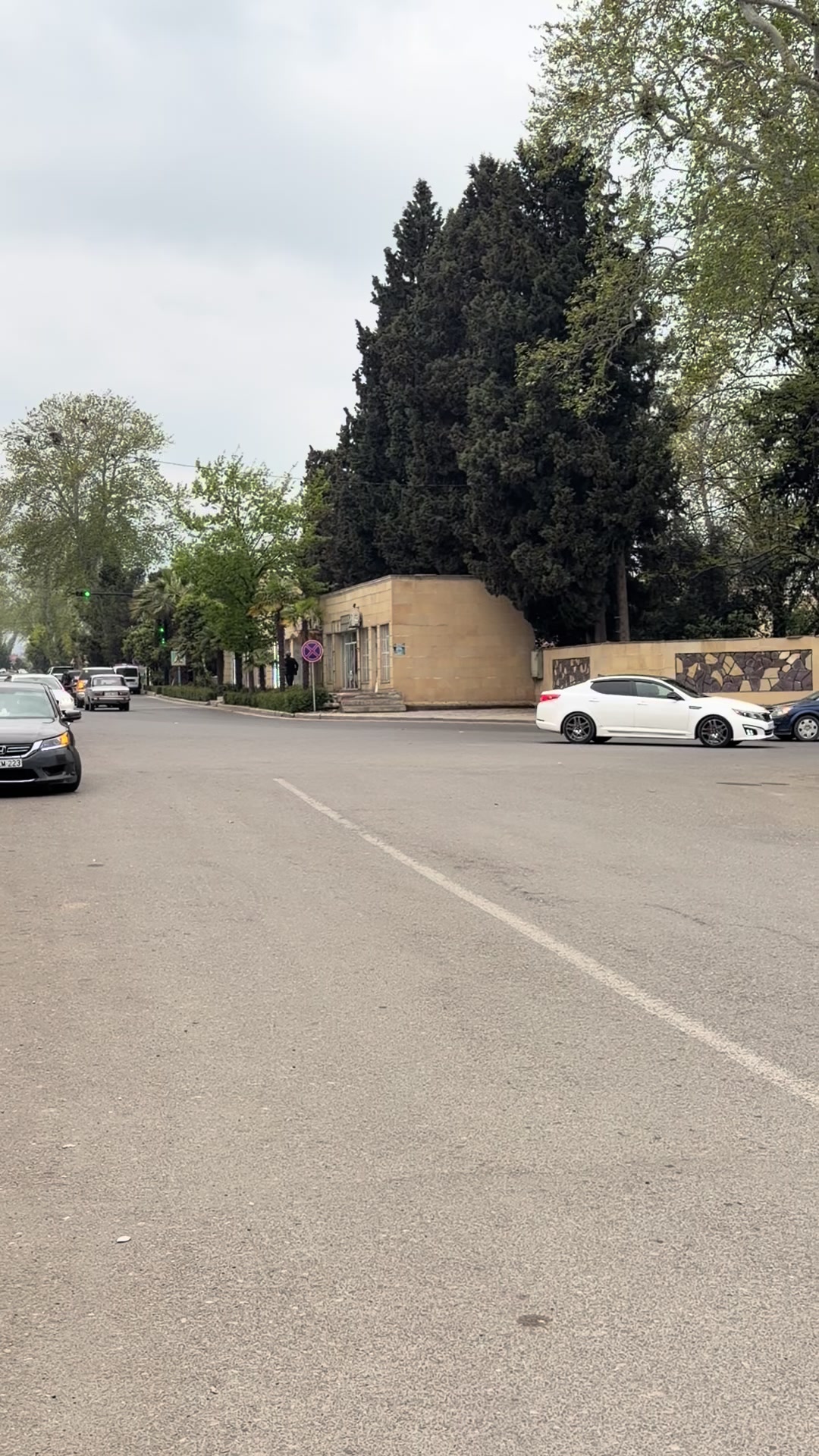 @Elmeddin Novruzov