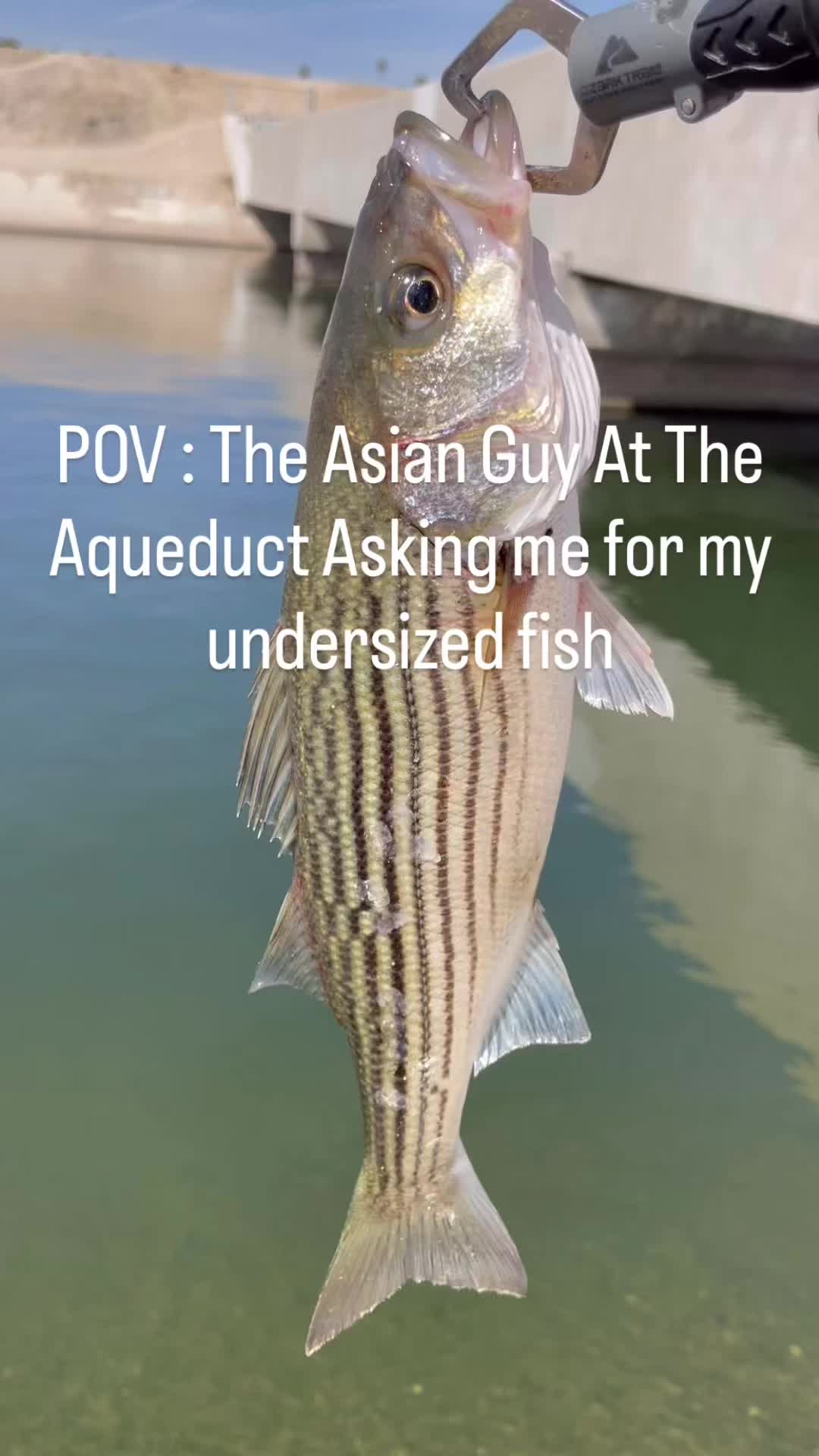 @Cast2Catch_661
