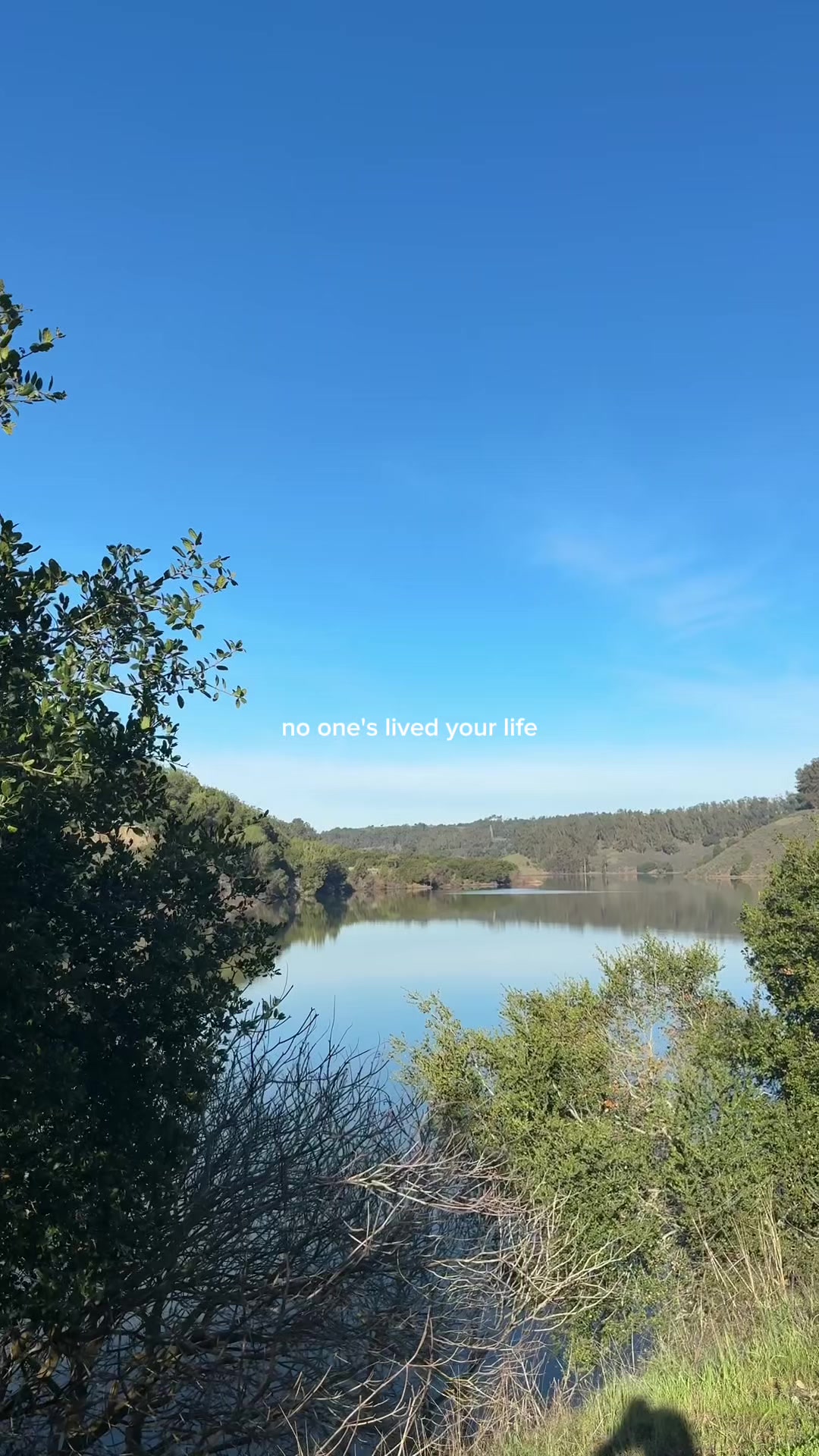 @Darlyn May