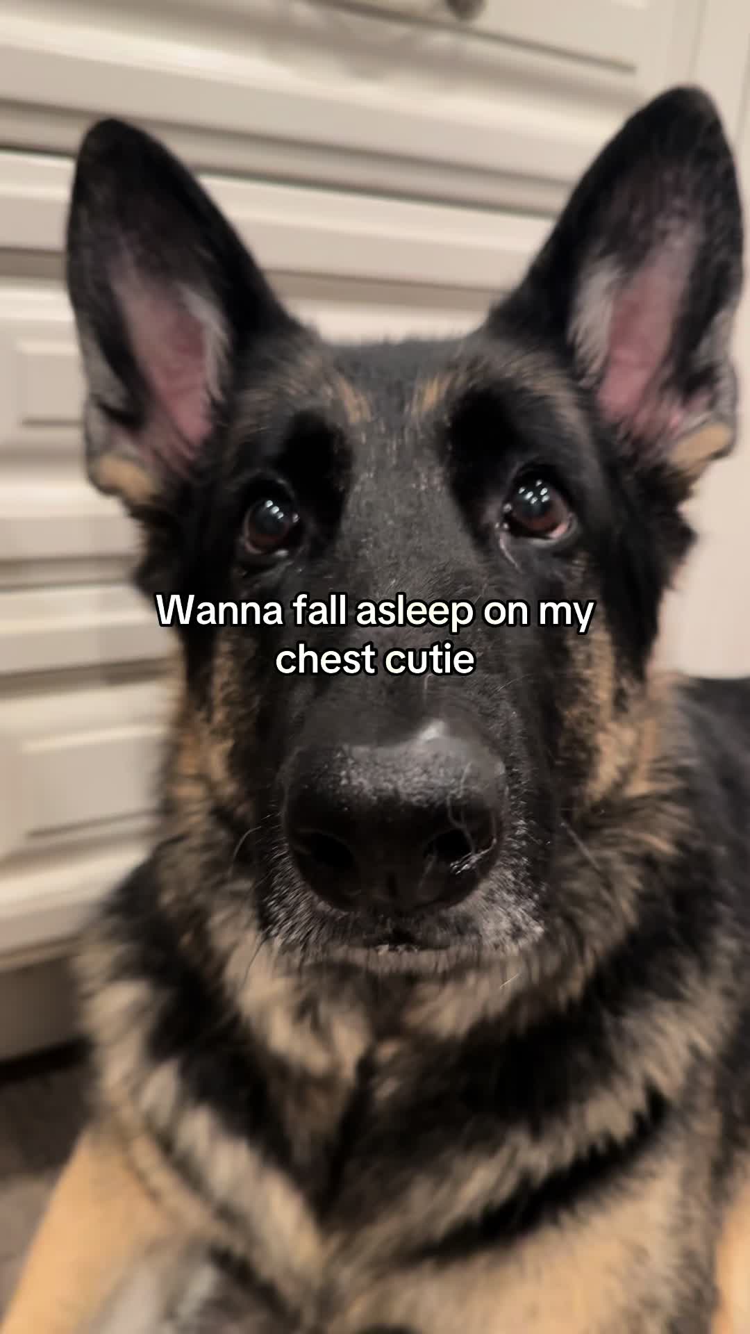 @Bhris