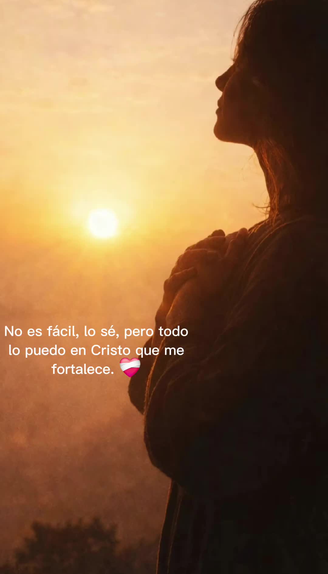 @Maribel 🌻