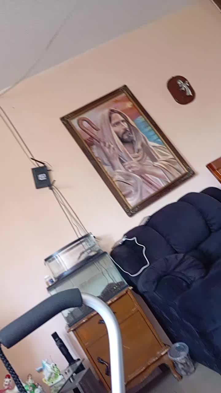 @Angelina Toro