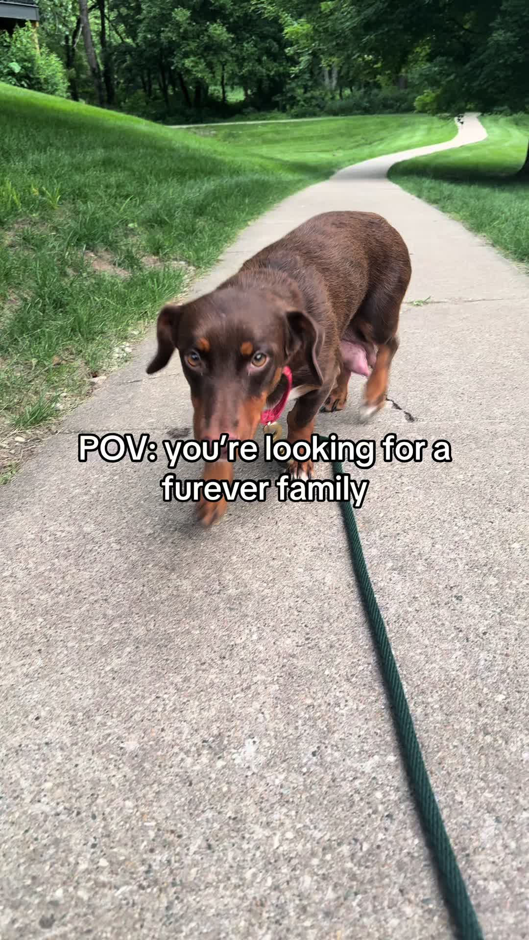 @theiowamobwife