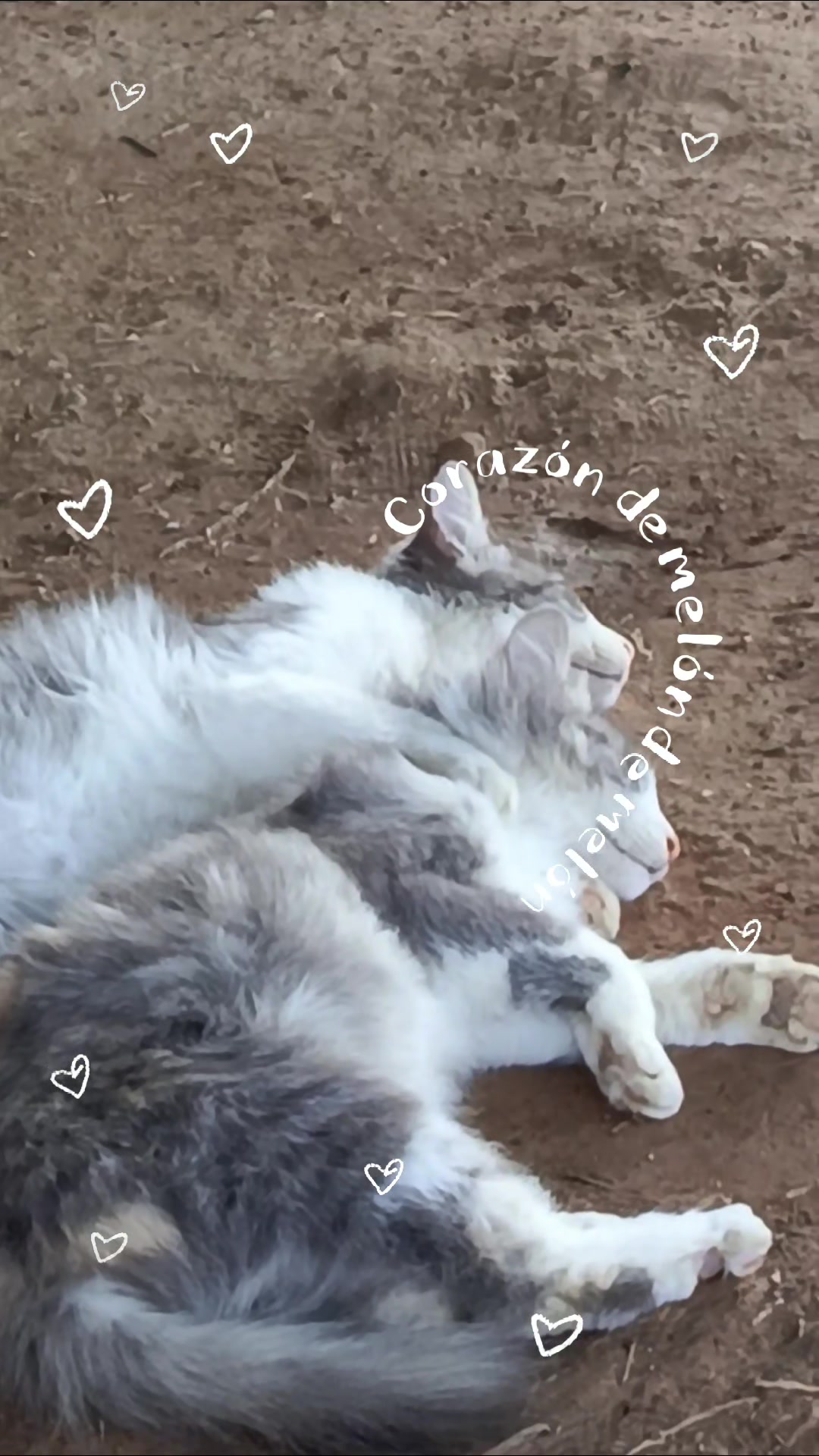 @✨ Mami de Dos angelitos 🕊️