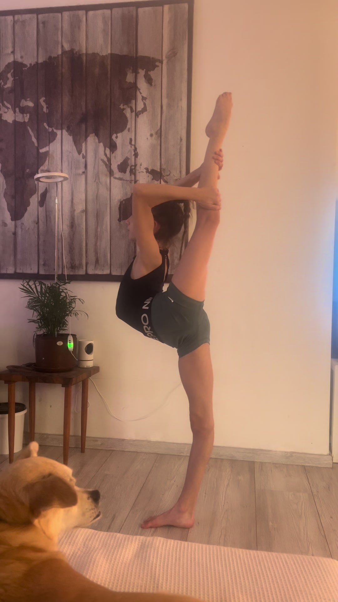 @shaylee.gymnast