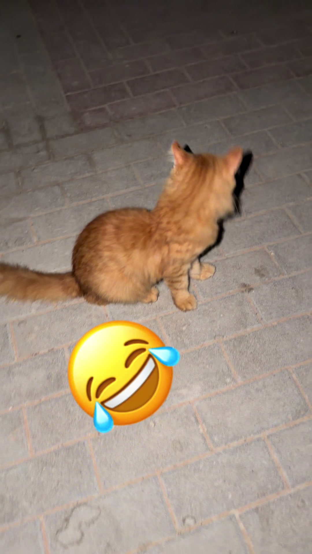 @F❤️A