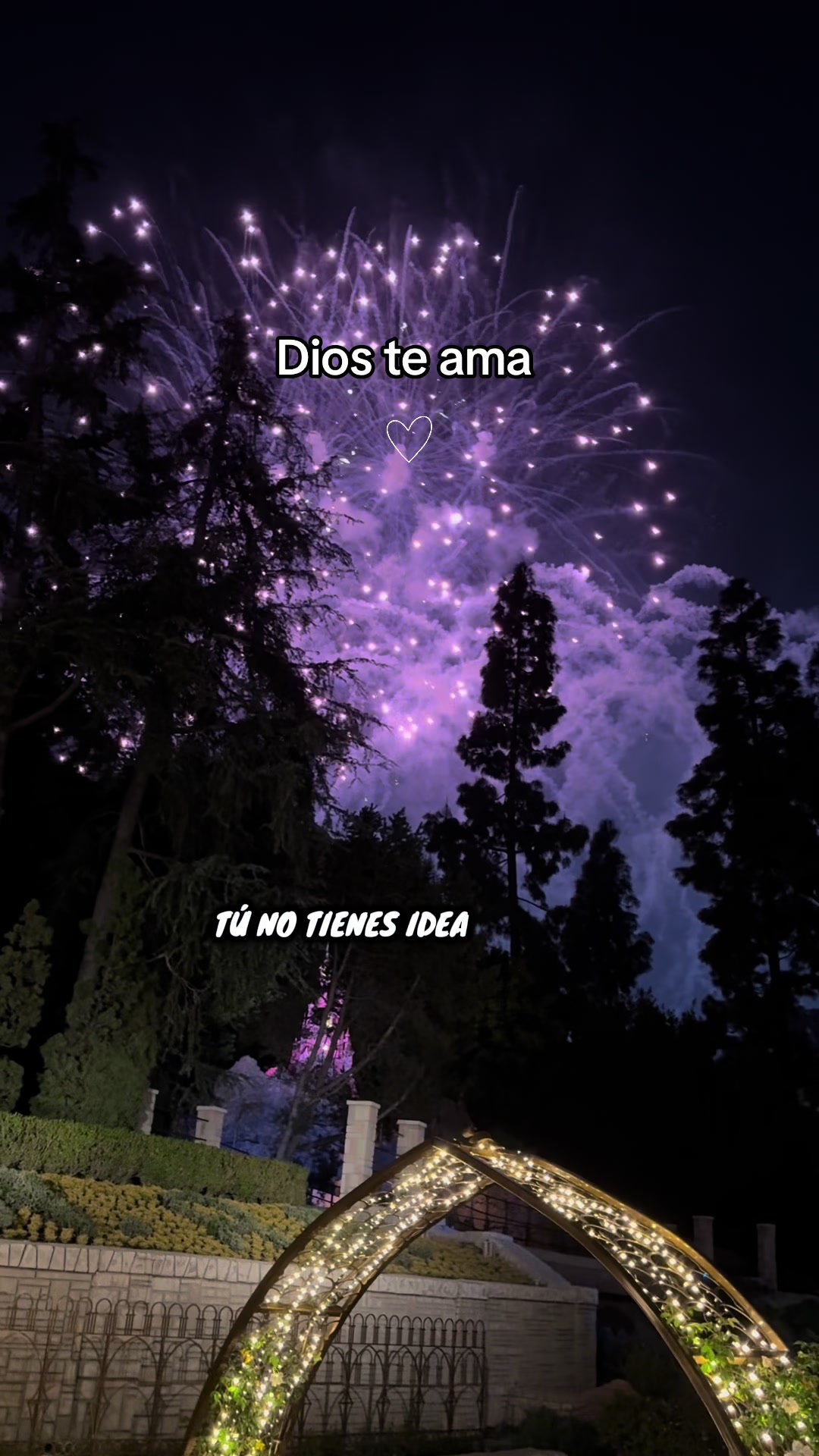 @Mina 🦋