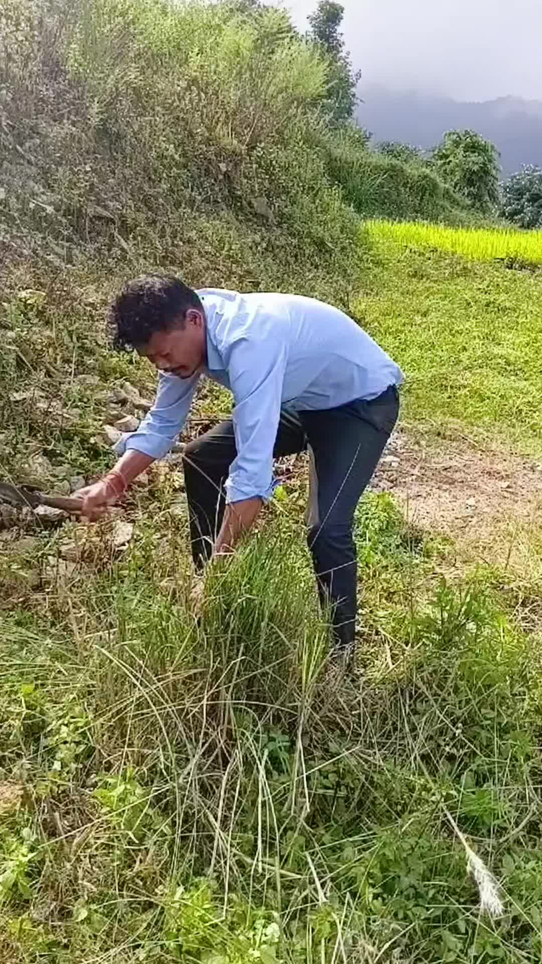 @SURYANEELAMCHY