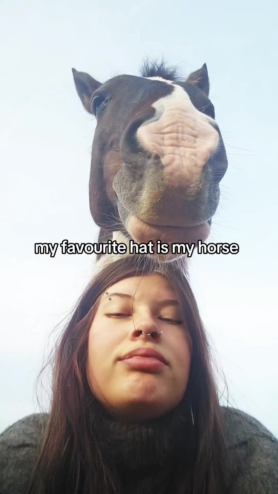 @Dino and horses