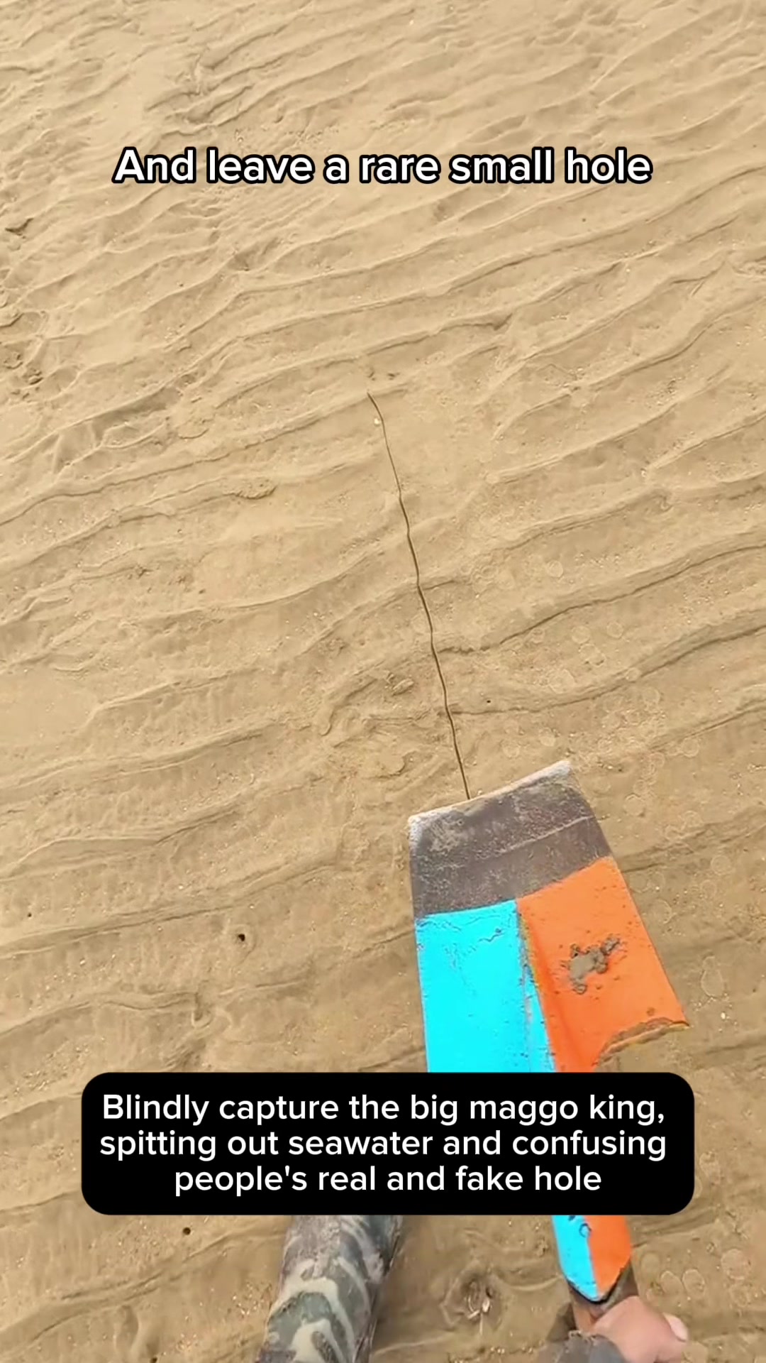 @seafood.vlog