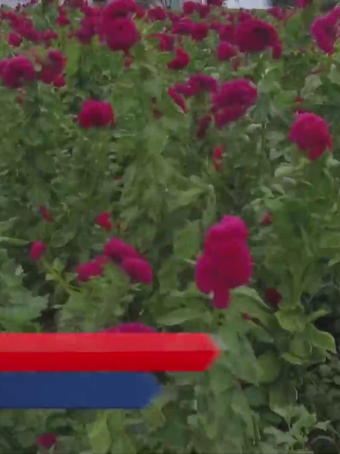 @Meganoticias Tehuac&aacute;n