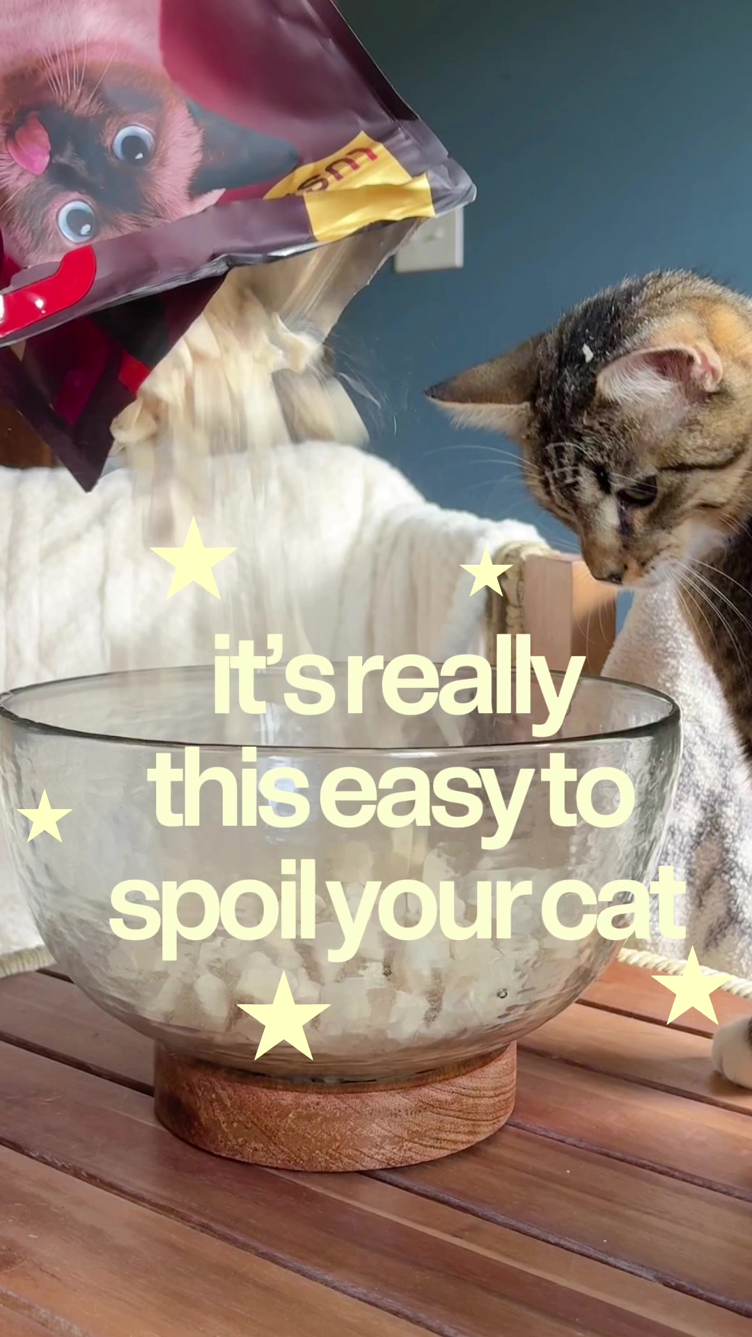 @Juno 💫🐈