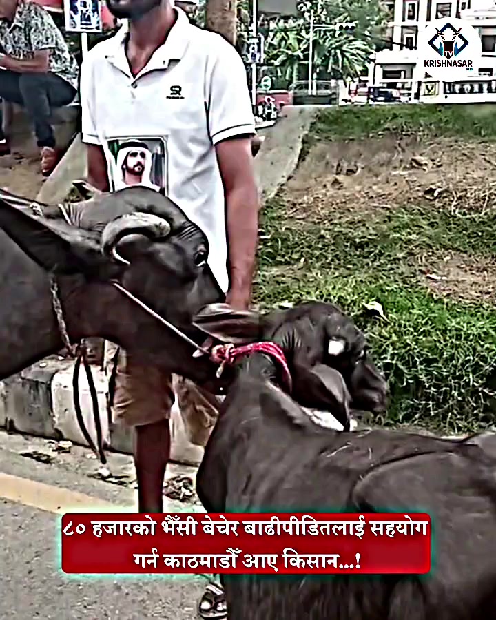 @zaiswalpramod8860