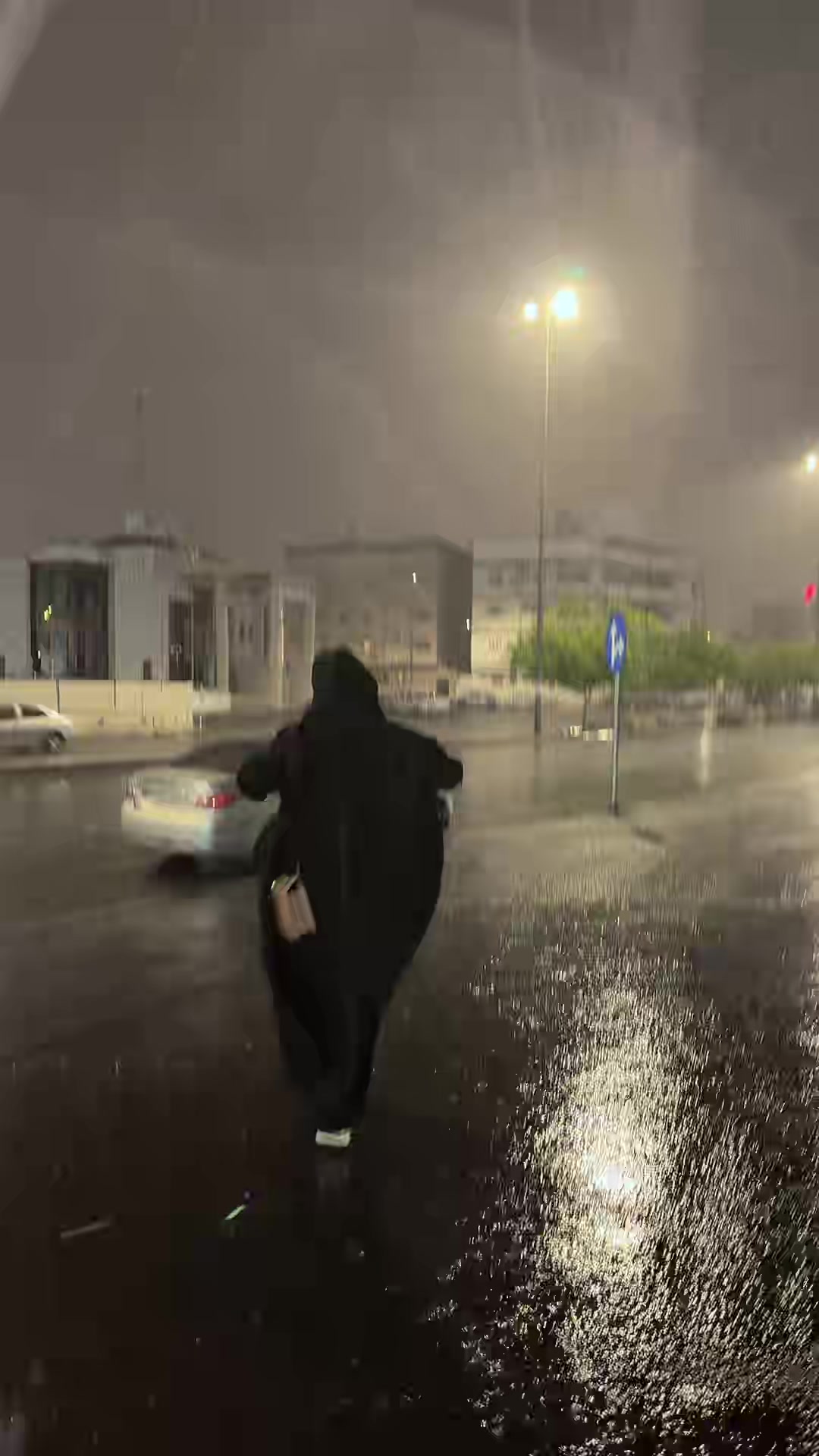 @🦋🇸🇾Rita🇸🇦