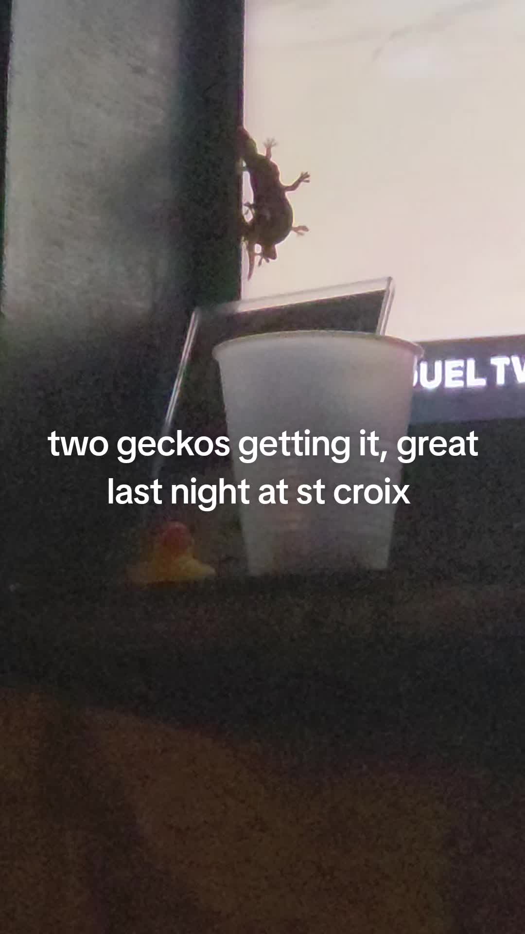 @letsseewhathappens
